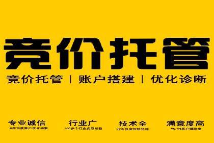 百度竞价排名策略解析及实战案例